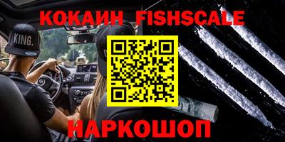 крисы Абакан