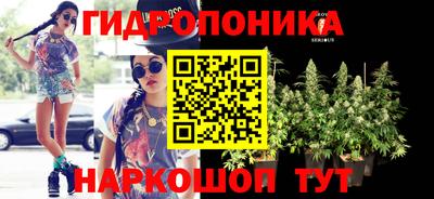 крисы Абакан