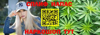 крисы Абакан