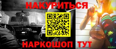 крисы Абакан