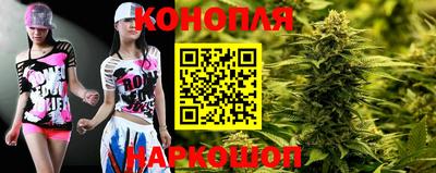 крисы Абакан