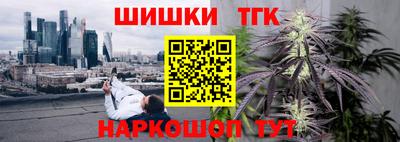 крисы Абакан