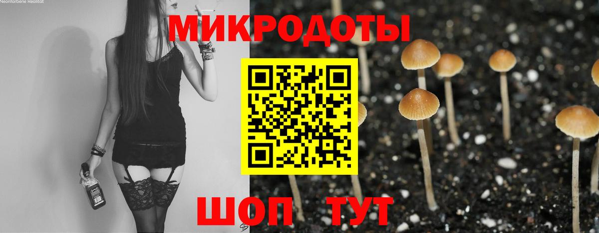 Апатиты  Псилоцибиновые грибы мицелий  Вход с VPN 